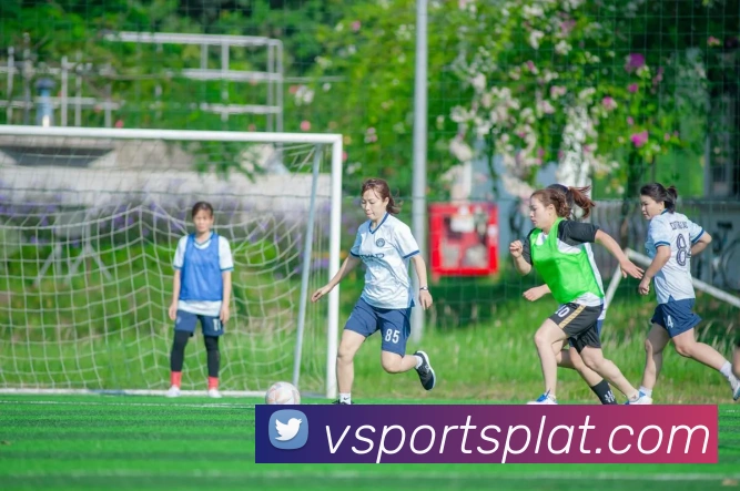 vsports体育平台生态图