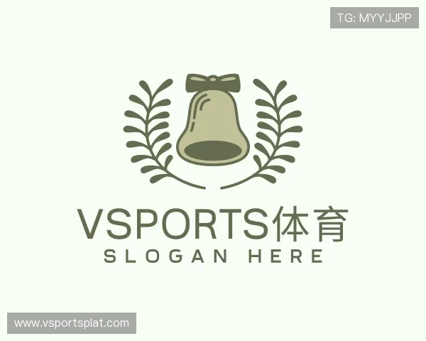 关于VSPORT官网
